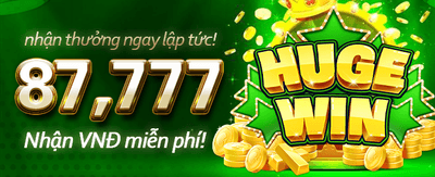 Winvn16 App Tải Ngay